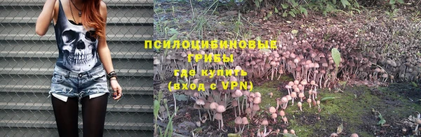 хмурый Алексеевка