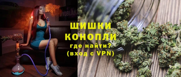 дмт Алзамай