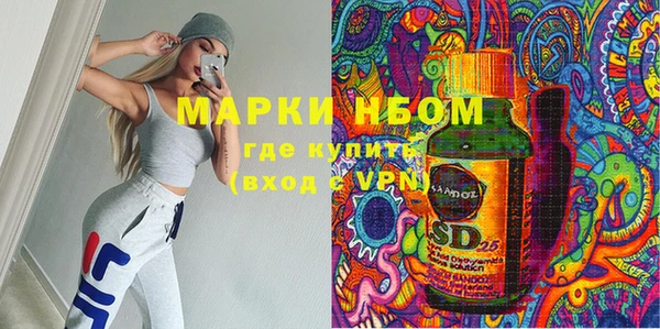 стаф Алексин
