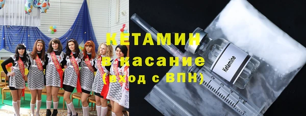 дмт Алзамай